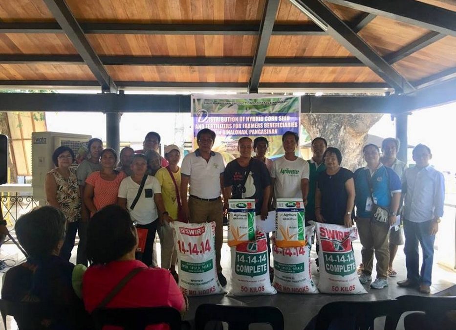 Department of Agriculture Binalonan distributes fertilizer, hybrid corn seeds