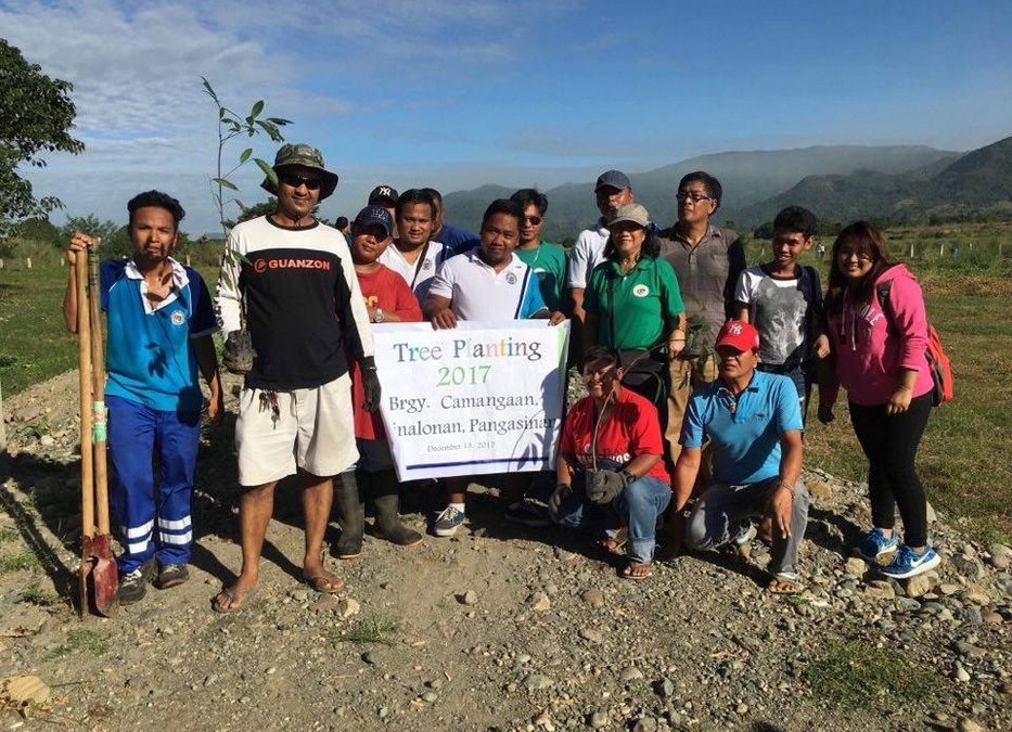 MENRO Binalonan conducts tree planting