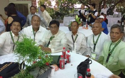 Binalonan corn farmers win national good agri practices award