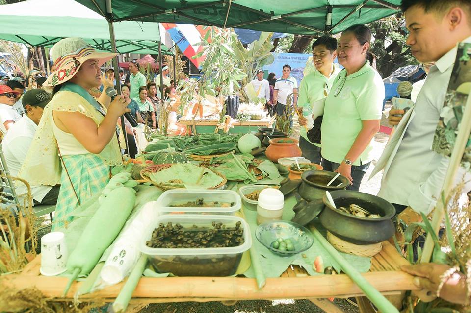 Agricultural Bounty in Binalonan