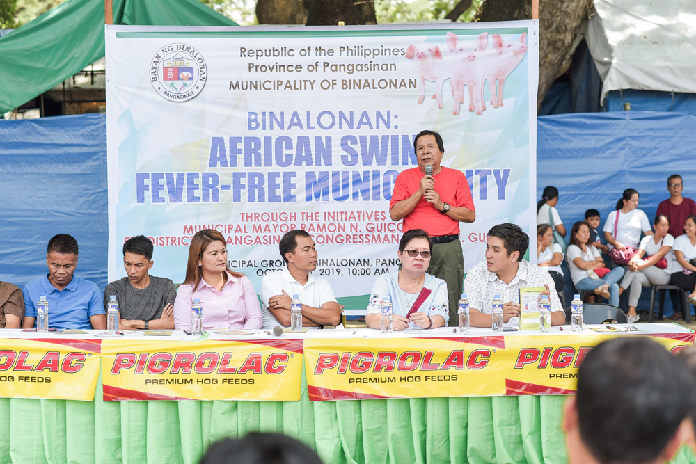 Binalonan officials dismiss ASF threat through pork boodle fight