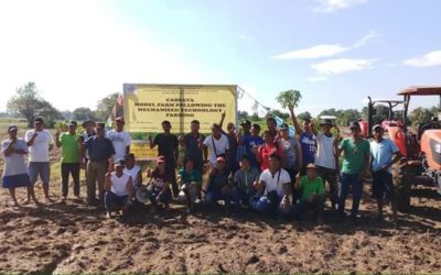 DA regional office, LGU Binalonan establish cassava model farm using farming tech