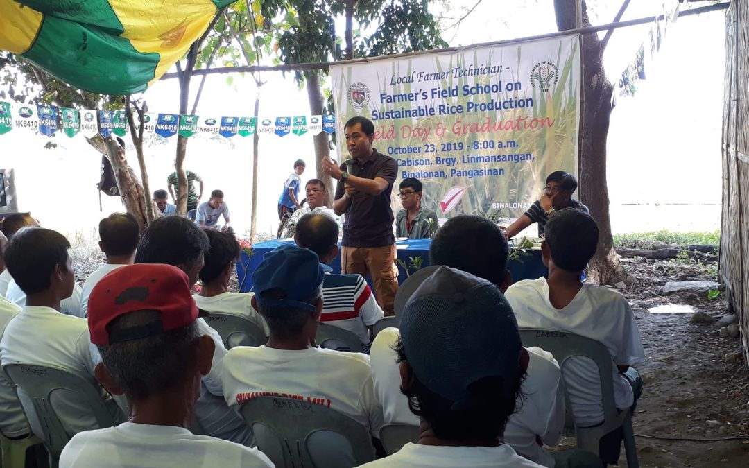 DA Binalonan holds field day, graduation for sustainable rice production